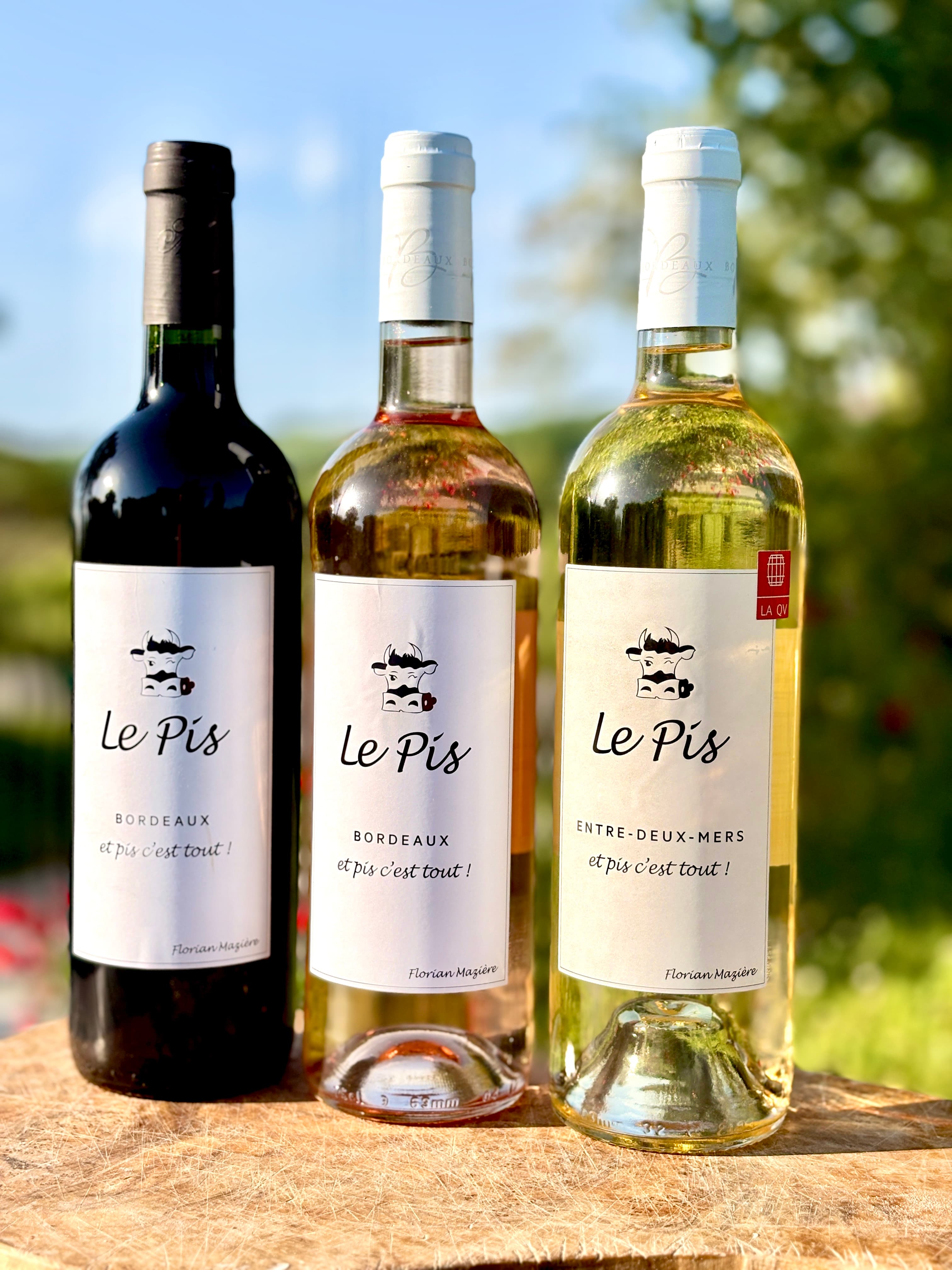 Le Pis blanc Entre-deux-mers 2025 Bio - Miniature 2