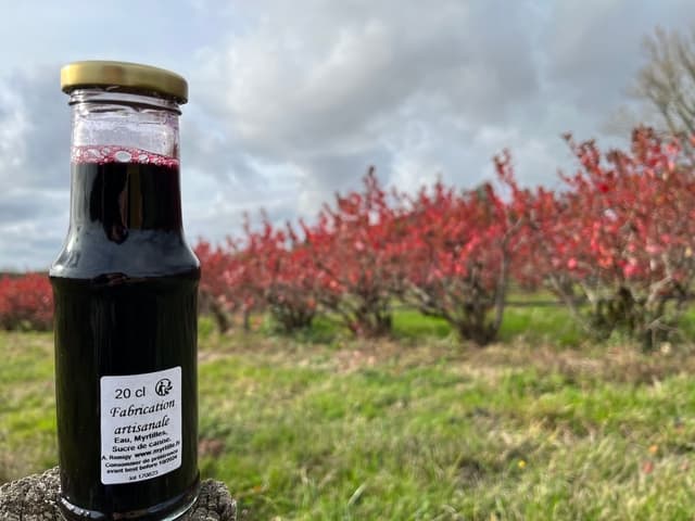 Nectar de Myrtille - Miniature 2