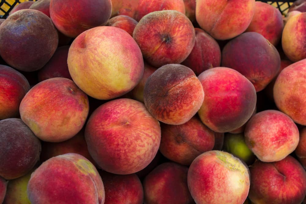 Produits du mois de Août