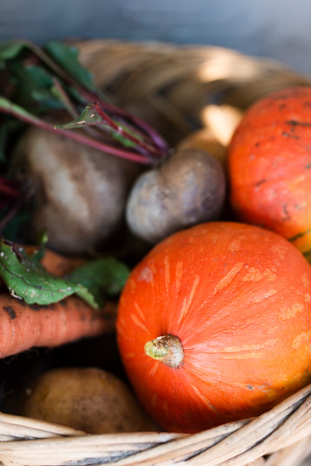 Produits de saison : Automne