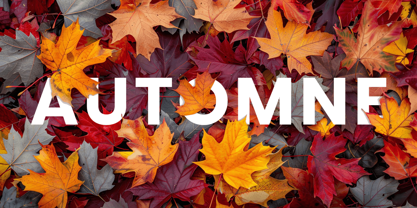 Produits de saison - Automne