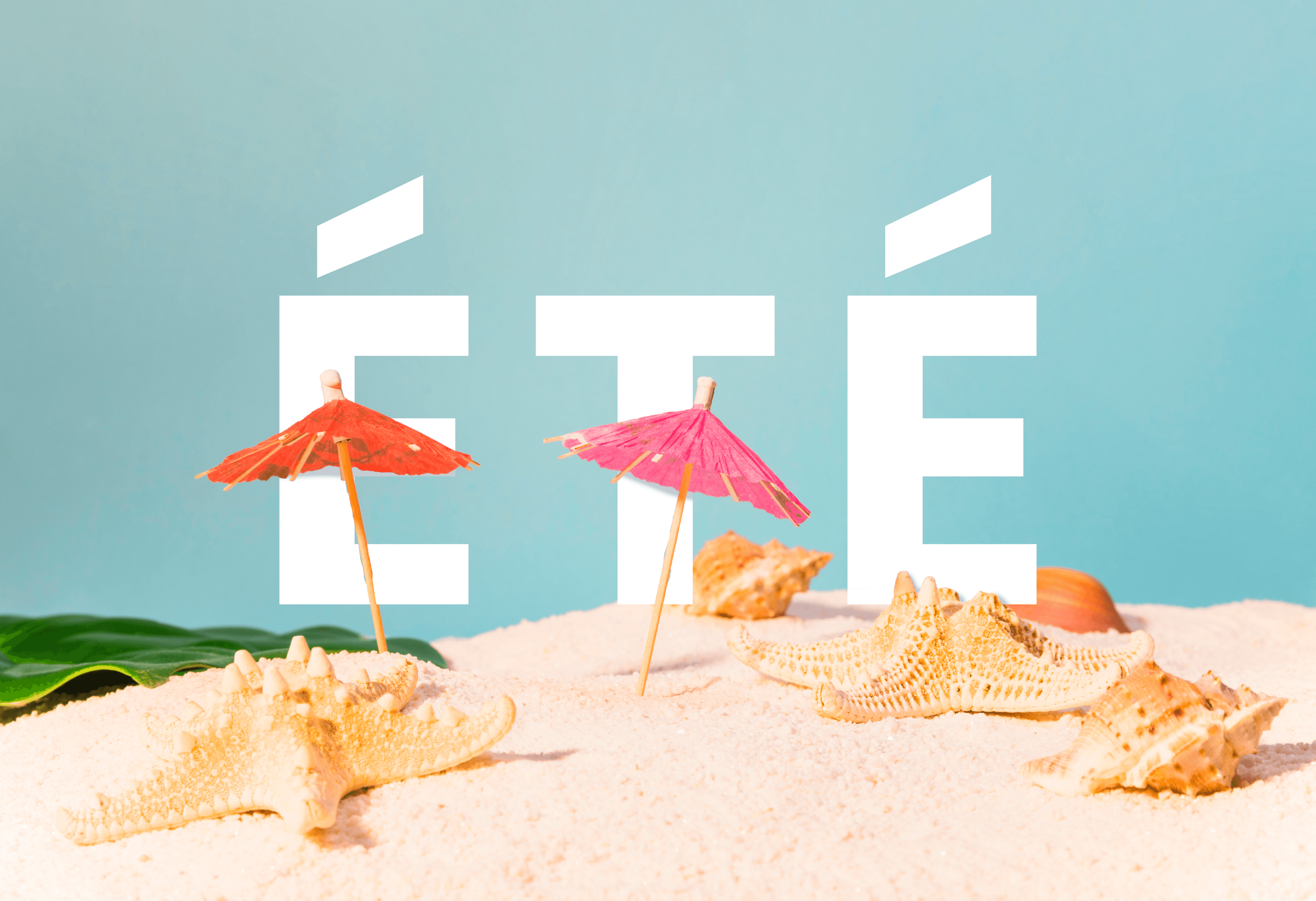 Produits de saison - Été