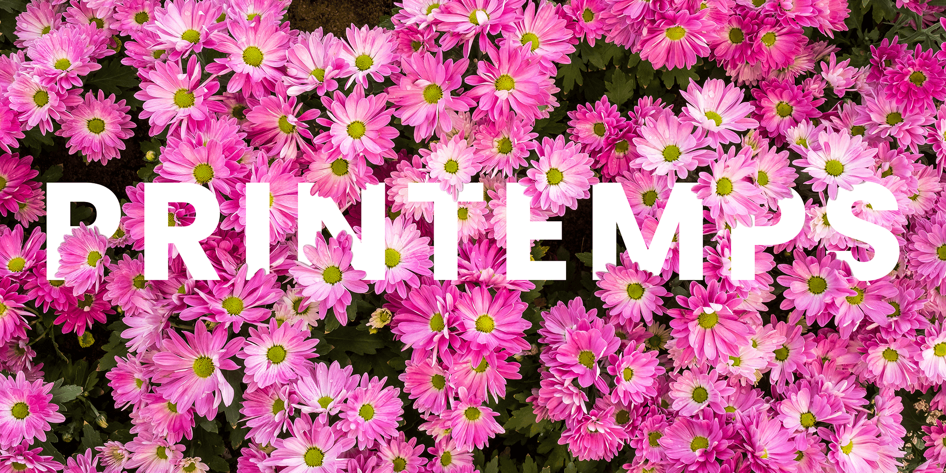 Produits de saison - Printemps