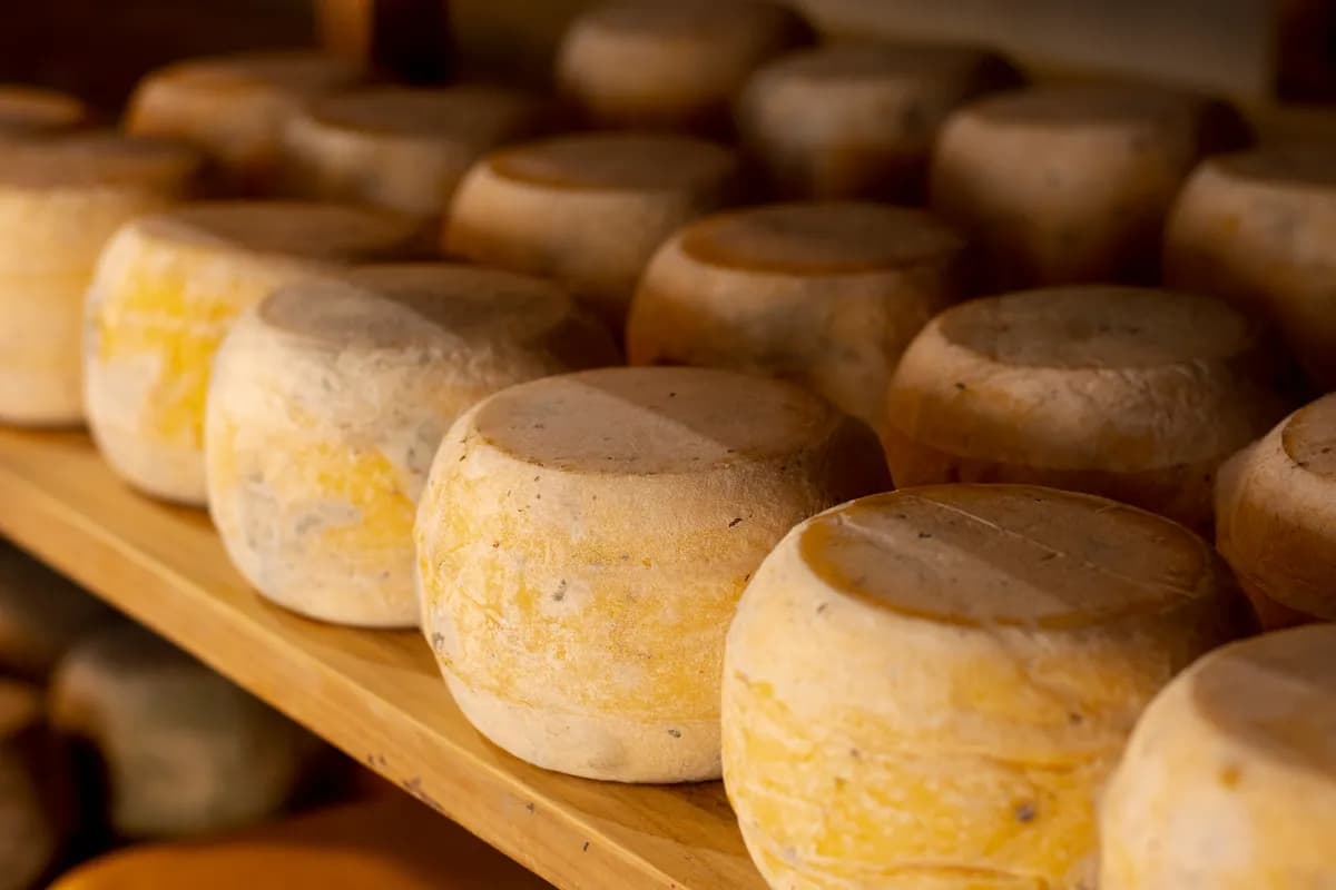 Plateau de fromages artisanaux français