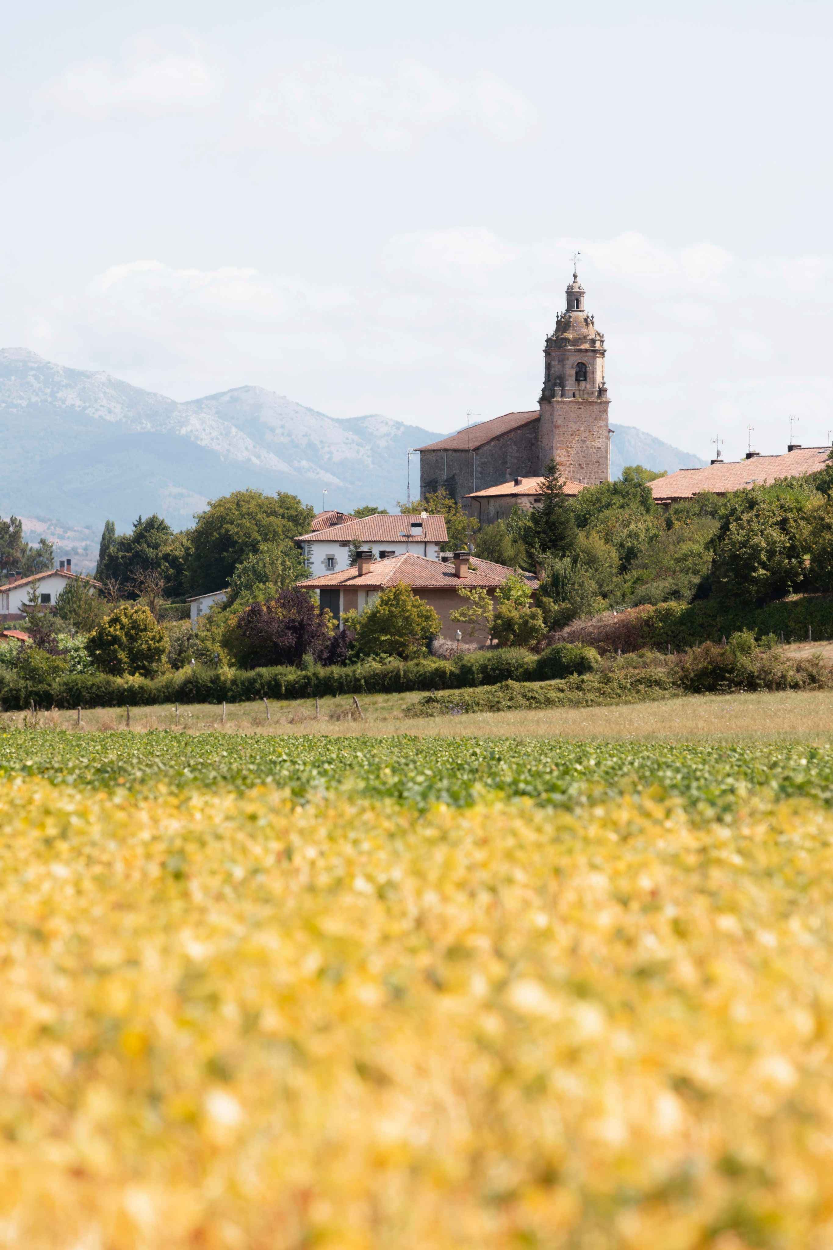 Ville d'Alava