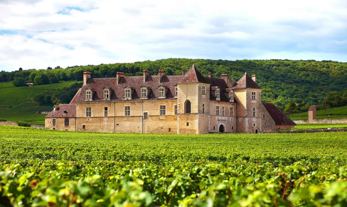Vignoble