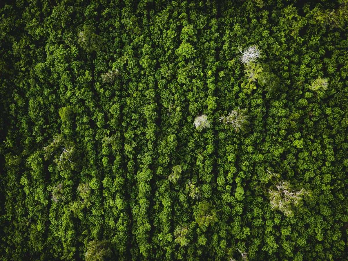 Écologie