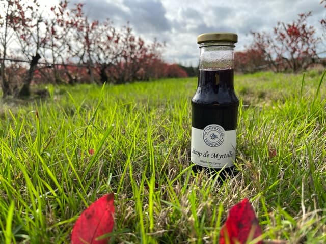 Sirop de Myrtilles - Photo 1 sur 2