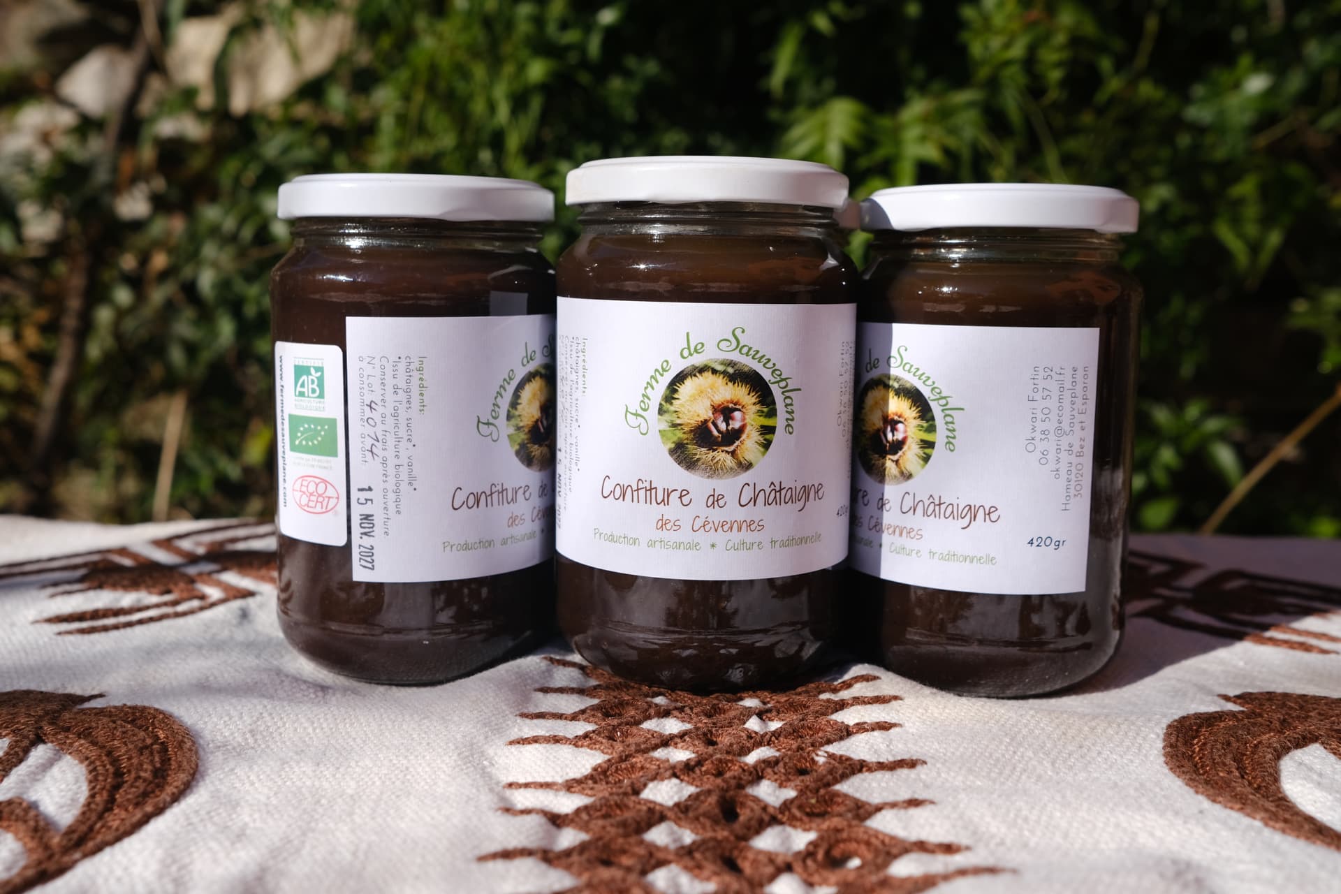 Confiture de châtaigne BIO - Photo 1 sur 1