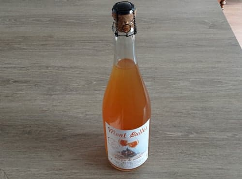 Pur jus de Pomme pétillant du Mont Saint Michel - Photo 1 sur 1