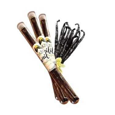 Gousses de vanille en tube x3 - Photo 1 sur 1