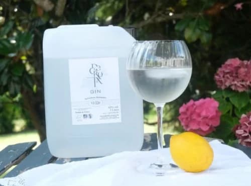 Gin Decroix Bio - Photo 1 sur 2