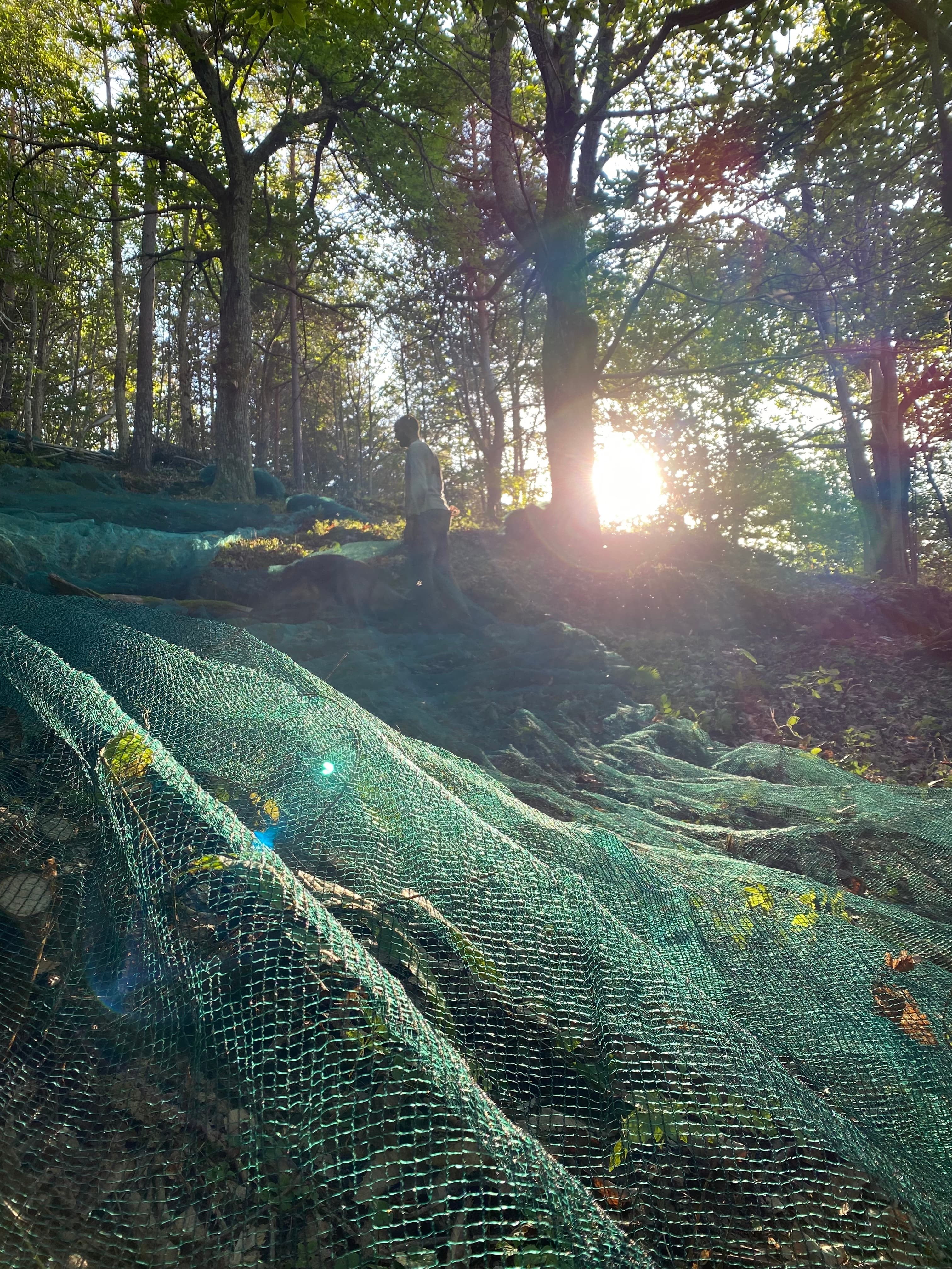 LOU CODOU - Micro-ferme du Caillou