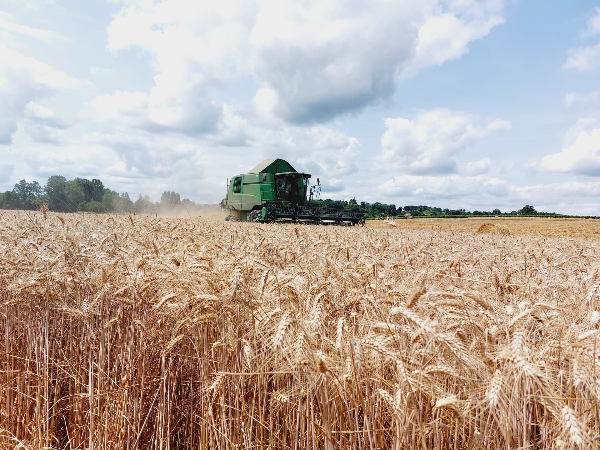 Photo de la boutique de Le Moulin Epis C'Tout