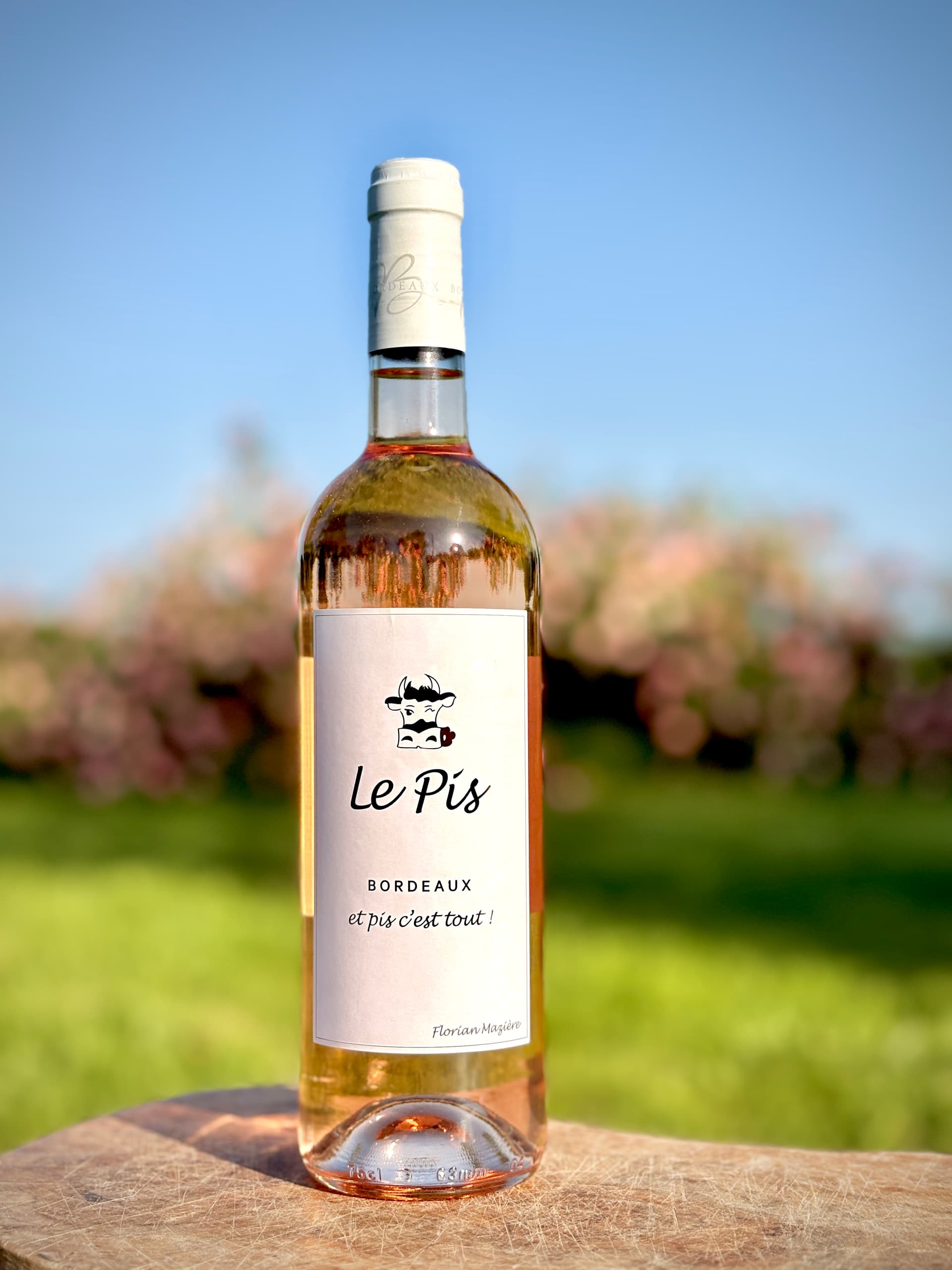 Le Pis Rosé 2024 Bio
