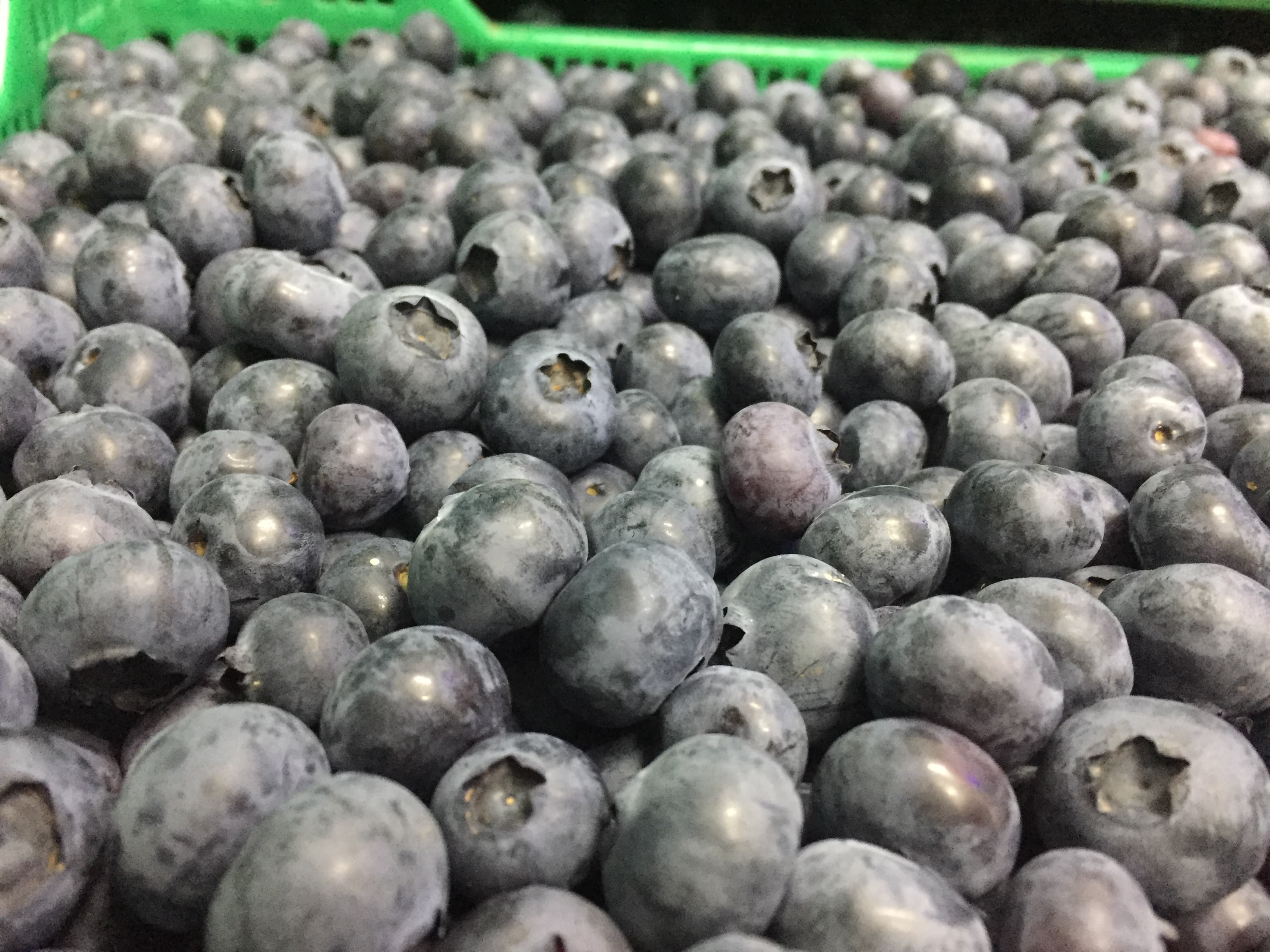 Myrtilles fraiches - Barquette 250g