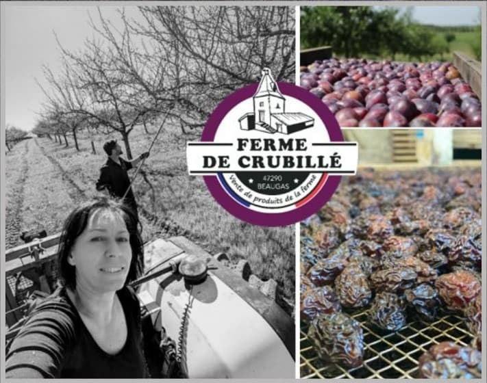 Photo de la boutique de Ferme de Crubillé