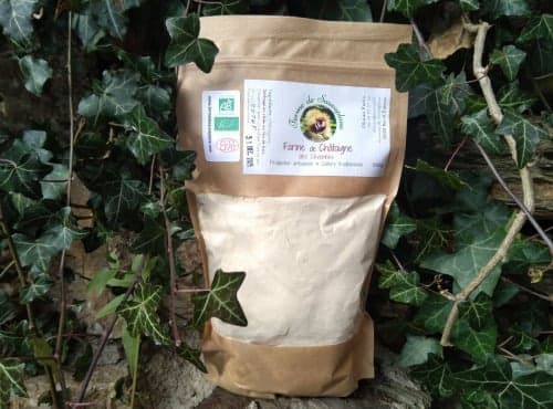 Farine de châtaigne BIO