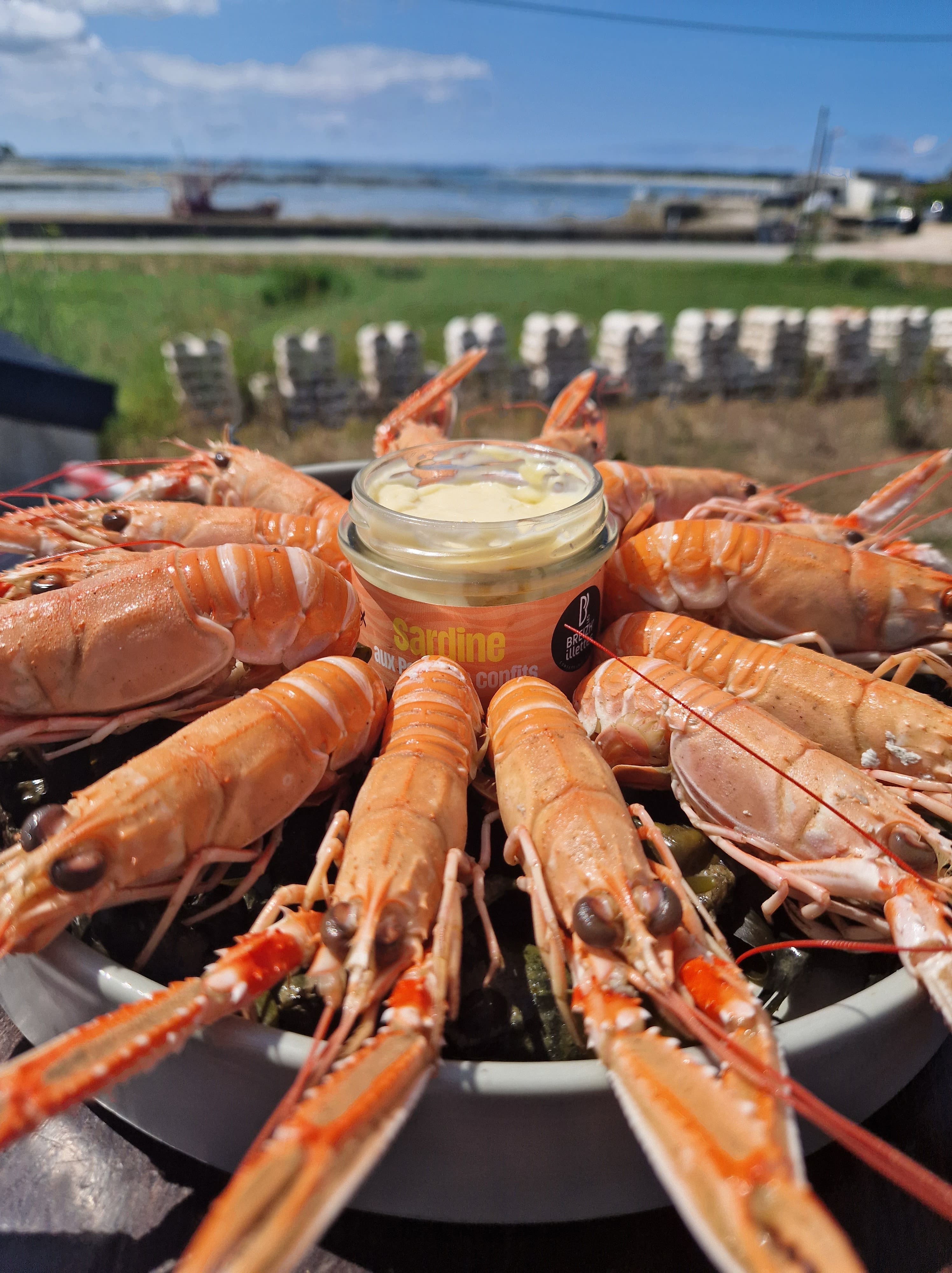 Langoustines cuites - Photo 1 sur 2
