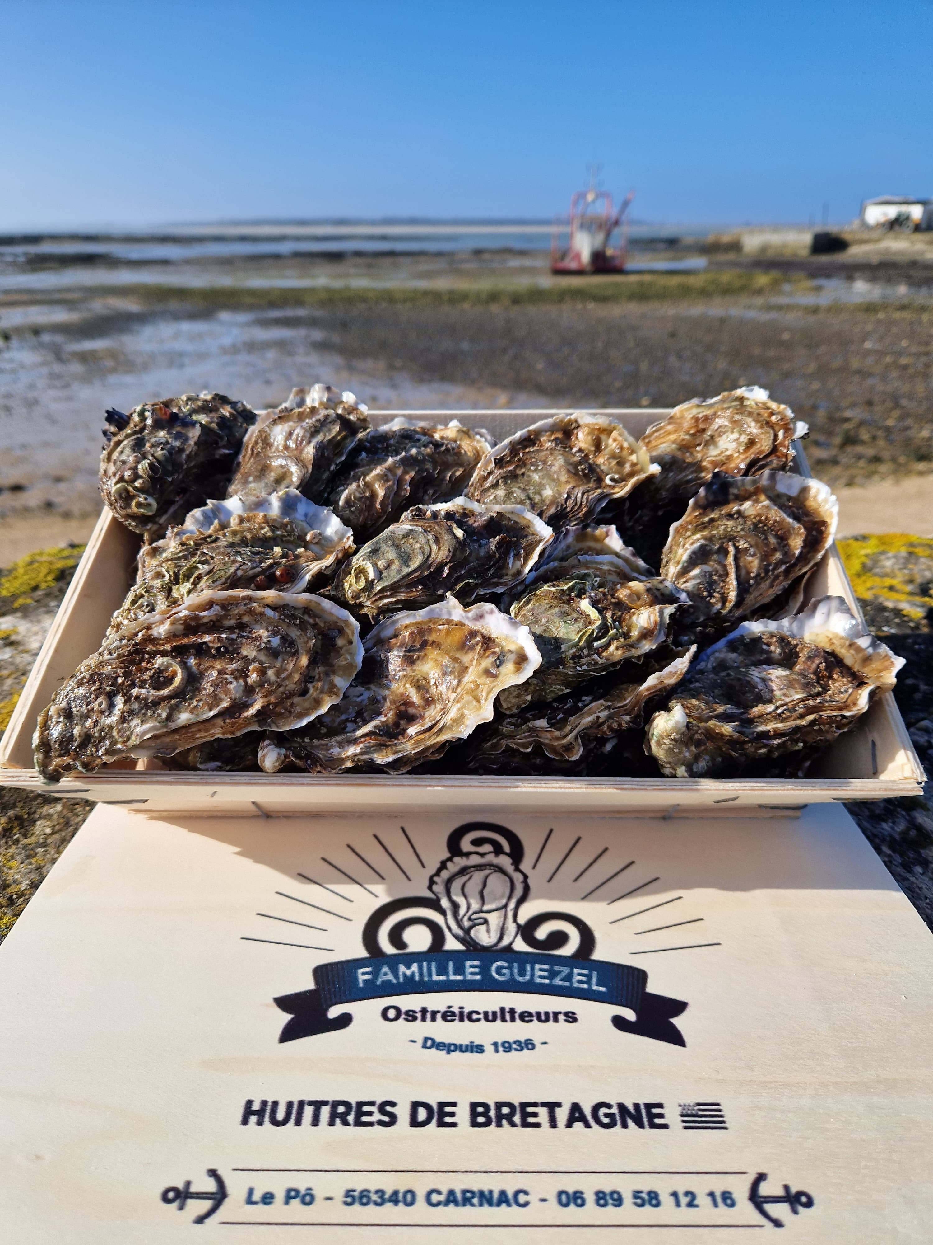 Huîtres creuses bretonne de la Baie de Quiberon N3x60