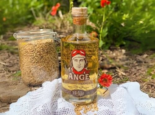 Eau-de-vie de Malt Ange Bio - Photo 1 sur 1