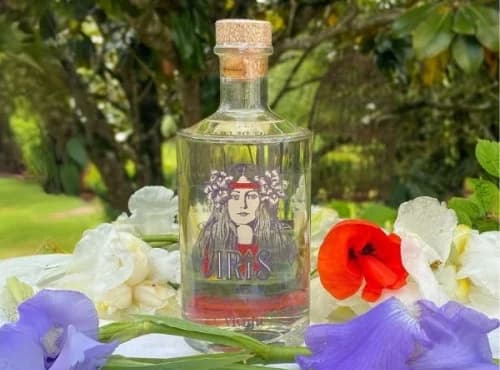 Gin Iris Bio