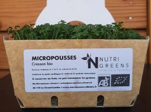 Micro pousses de cresson Alénois Bio 4 barquettes - Photo 1 sur 1