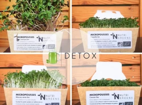 Micro pousses Pack Detox (radis, Moutarde, Cresson, Roquette) 4 barquettes
