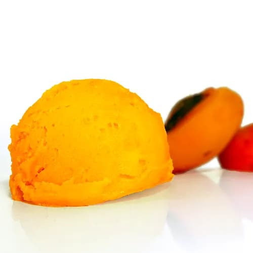 Sorbet Abricot