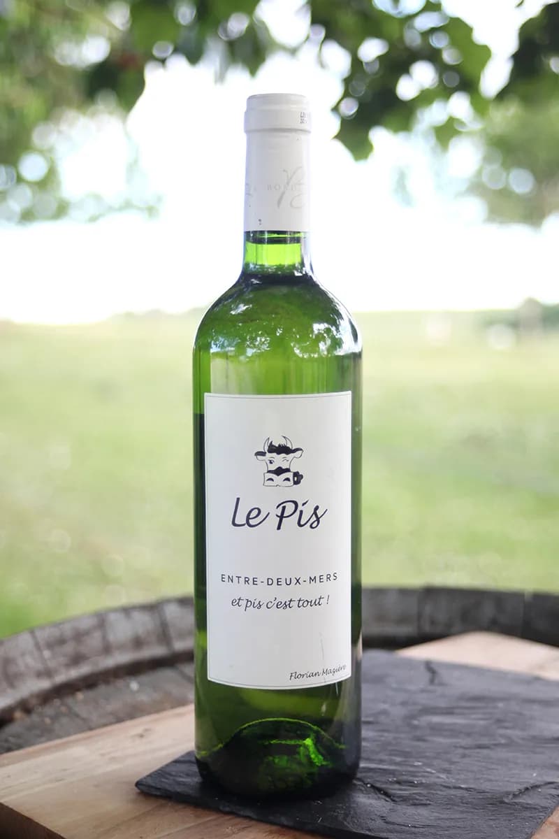 Le Pis blanc Entre-deux-mers 2023 Bio