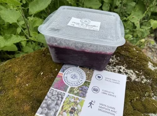 Purée de Myrtilles