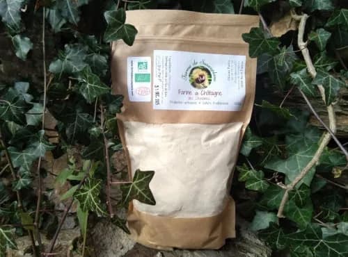 Farine de châtaigne BIO
