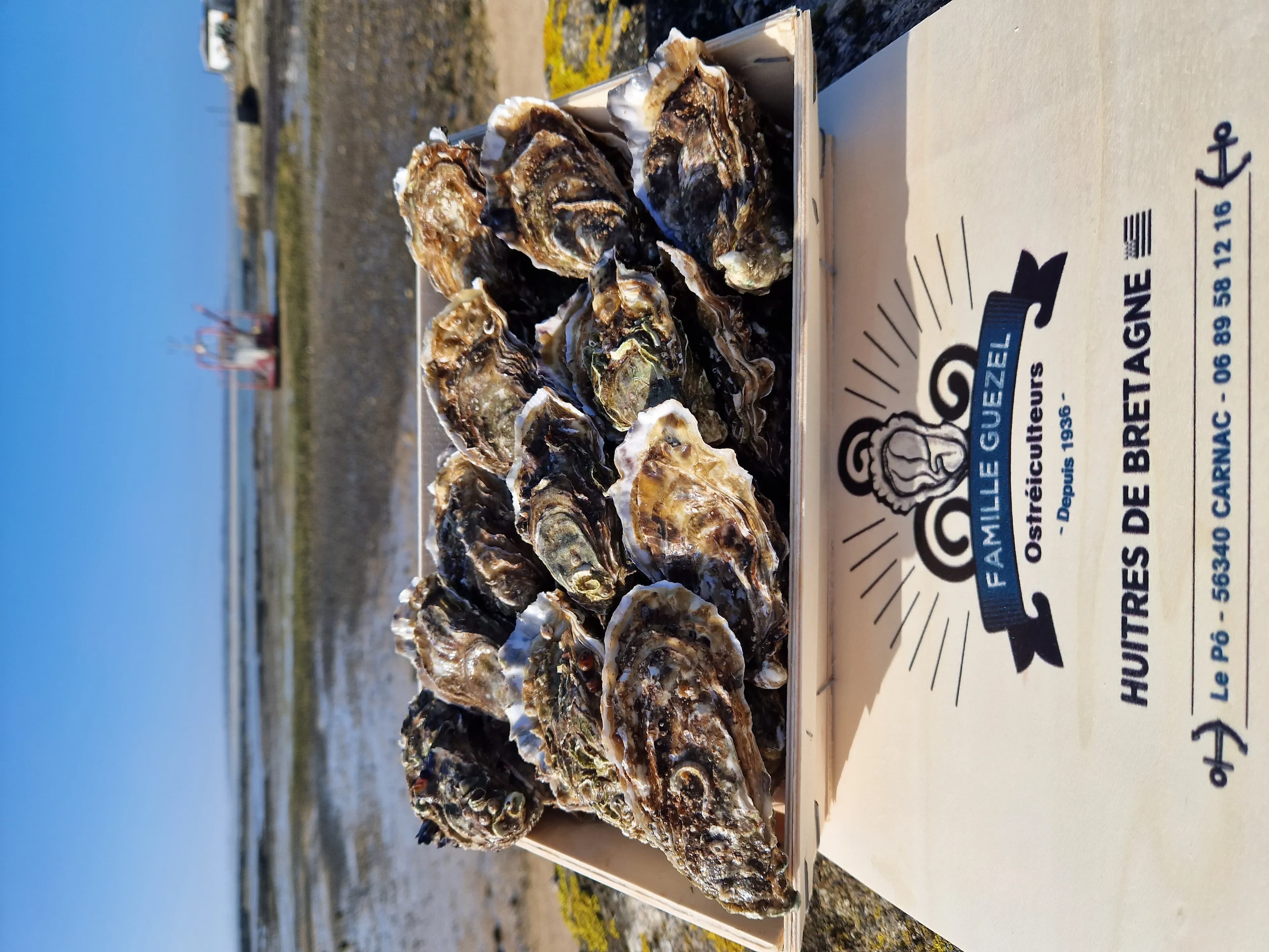 Huîtres creuses bretonne de la Baie de Quiberon N3x60