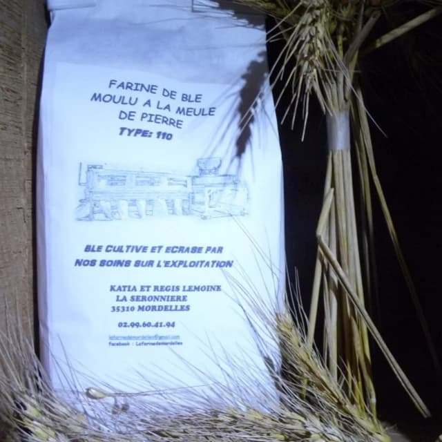 Farine de blé - Type 110