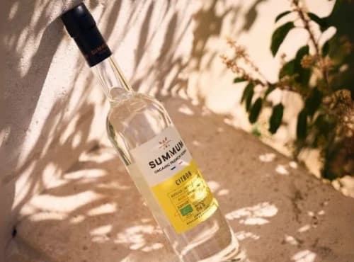 Vodka Citron Bio