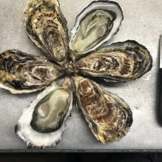 Huîtres de Paimpol N°1