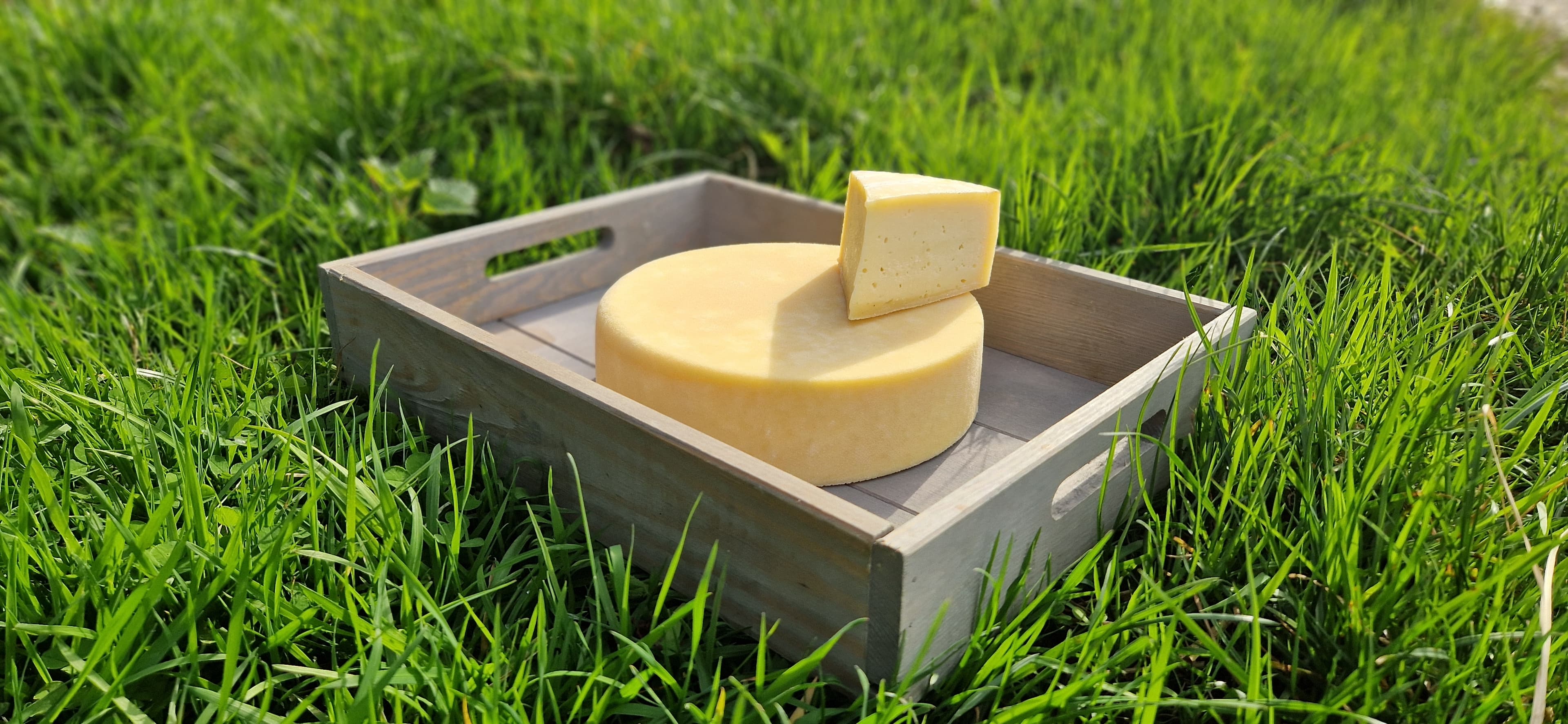 Tomme Bio Fraîche – Format Entier