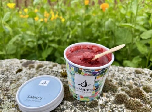 Sorbet Myrtilles - Image 1