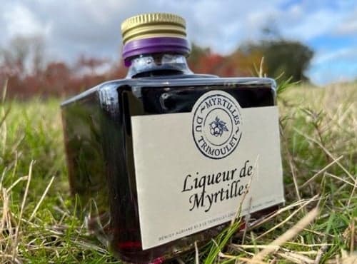 Liqueur de Myrtilles
