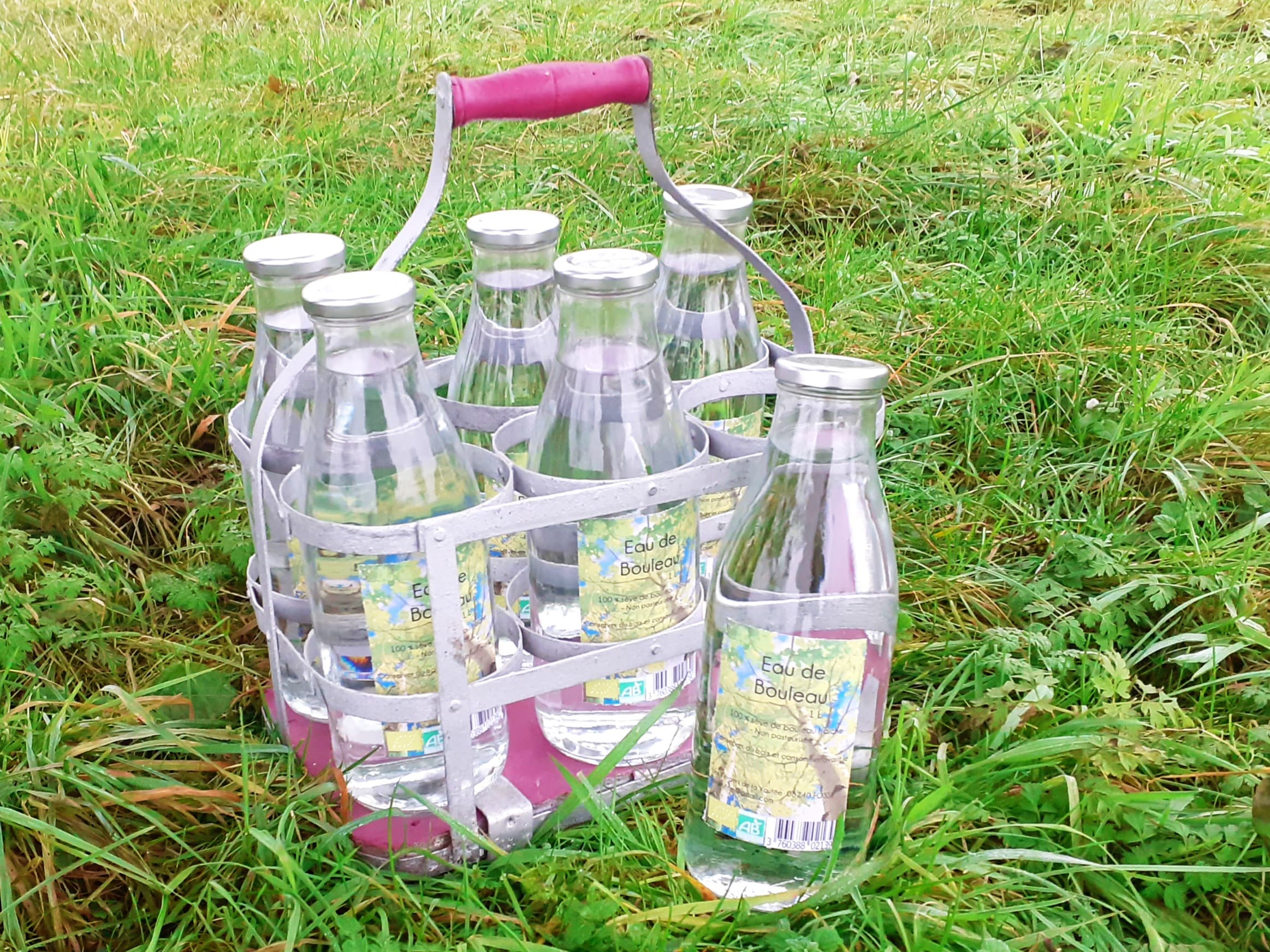 Lot de 6 litres de Séve de Bouleau fraîche BIO -non pasteurisée- !!Pré-Commande!! - Image 1