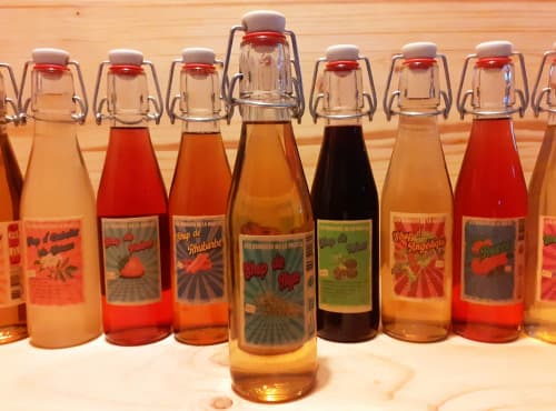 Sirop de Thym BIO - Image 1