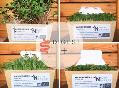 Micro pousses Pack Digest + (Radis, Fenouil, Cresson, Roquette) 4 barquettes