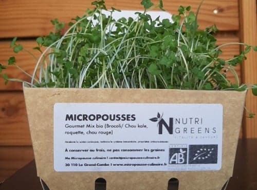 Micro pousses Gourmet mix 4 barquettes
