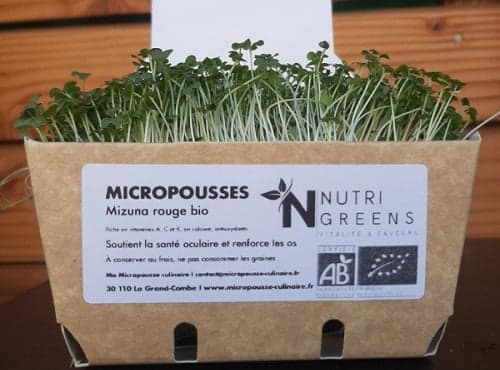 Micro-pousses de mizuna rouge Bio 4 barquettes