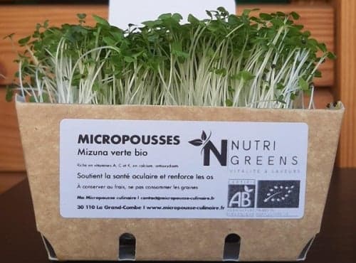 Micro-pousses de mizuna verte Bio 4 barquettes