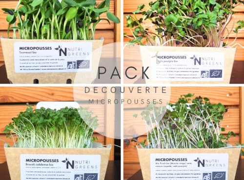 Micro pousse Pack de découverte bio 8 barquettes