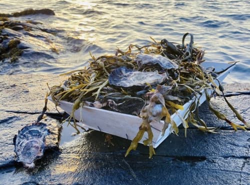 PANIER DECOUVERTE - 12 N°1-12N°2-12N°3-12N°4-6TG